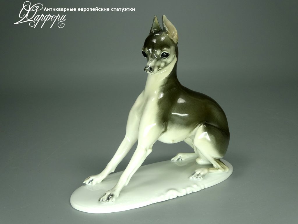 Купить фарфоровую Rosenthal Пинчер