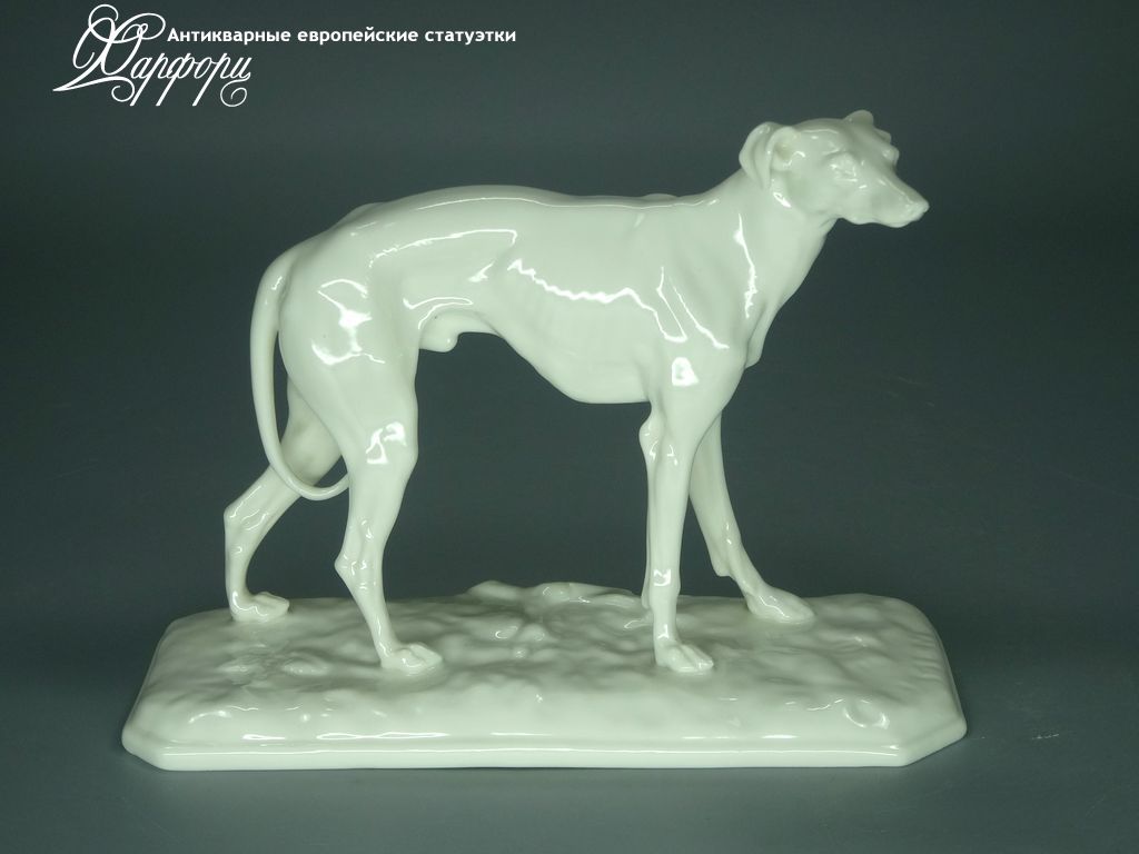 Купить фарфоровую статуэтку Nymphenburg Грейхаунд