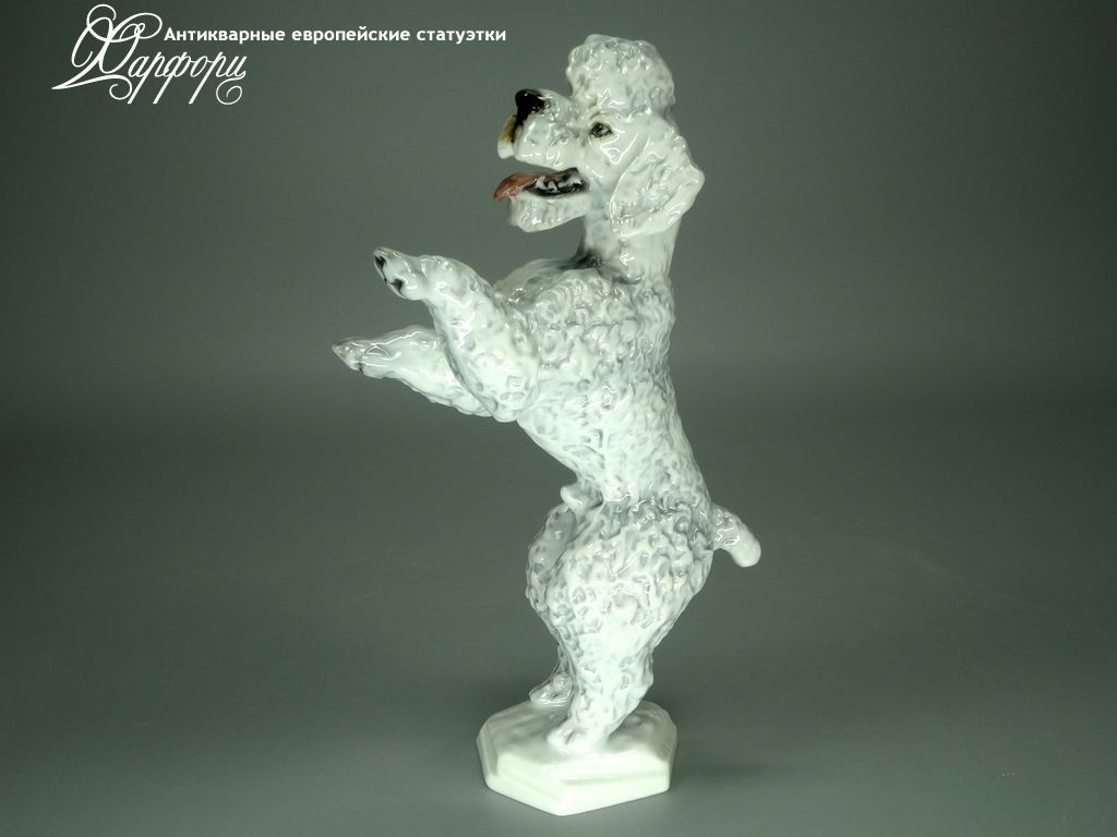Купить фарфоровую статуэтку Rosenthal Пудель