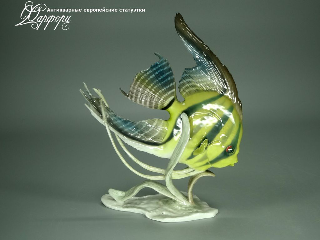 Купить фарфоровую статуэтку Rosenthal Скалярия