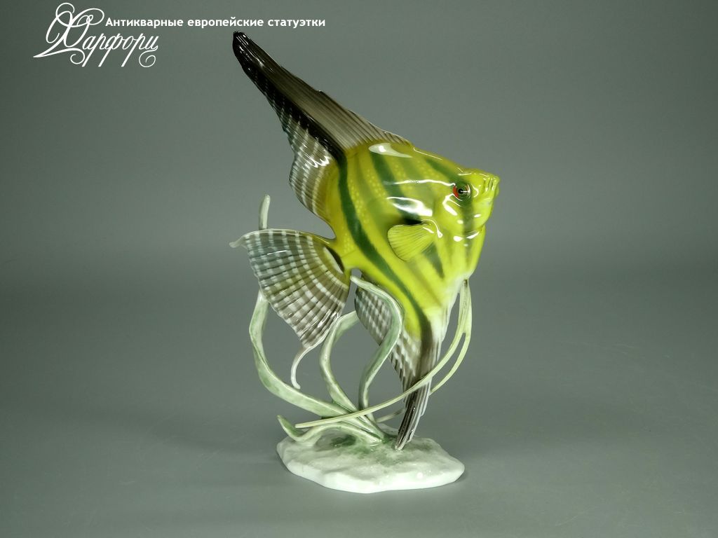 Купить фарфоровую статуэтку Rosenthal Скалярия