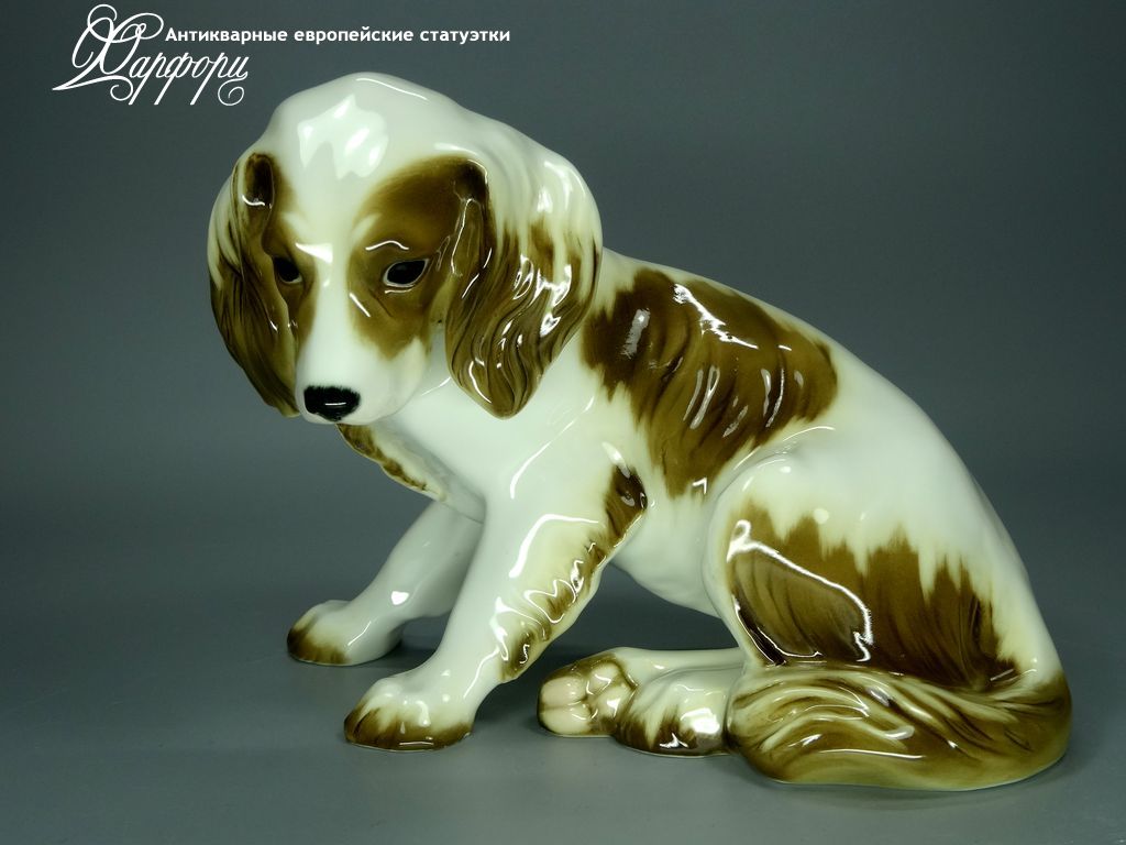 Купить фарфоровые статуэтки Hutschenreuther, Спаниель, Германия