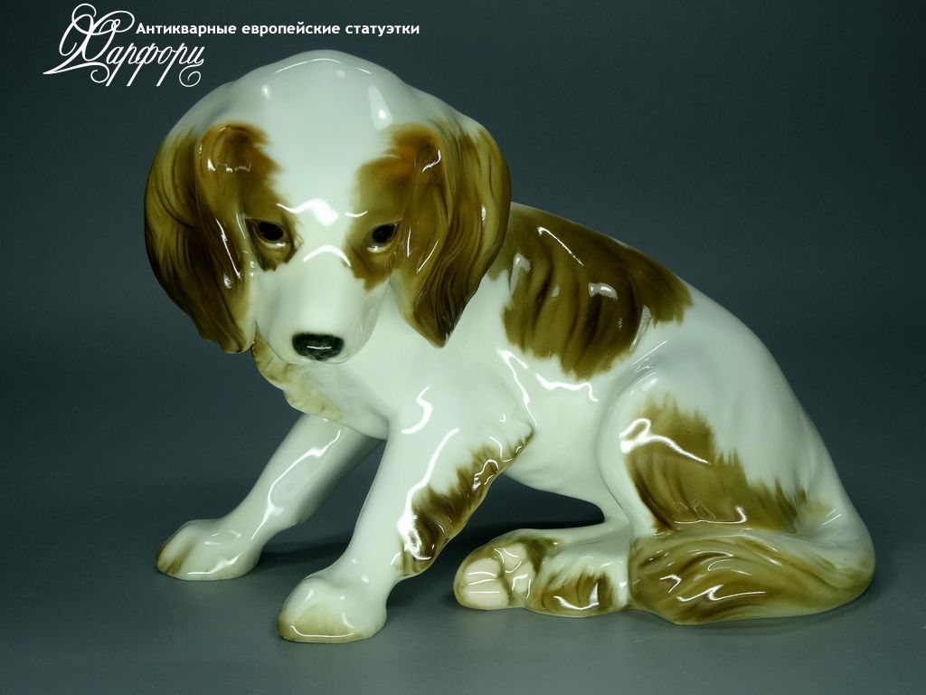 Купить фарфоровые статуэтки Hutschenreuther, Спаниель, Германия
