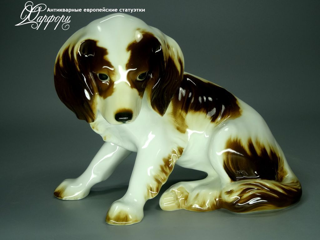 Купить фарфоровую статуэтку Hutschenreuther Спаниель