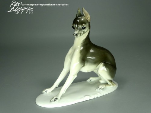 Купить фарфоровую Rosenthal Пинчер