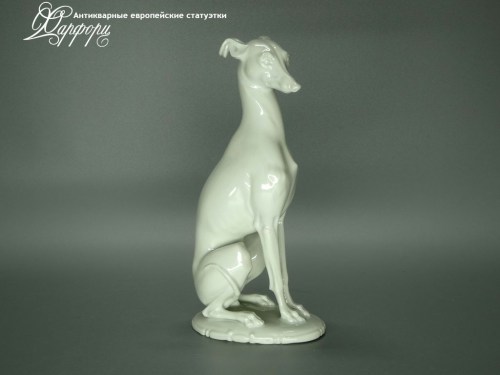 Купить фарфоровые статуэтки Rosenthal, Левретка, Германия