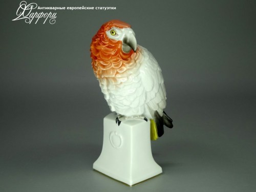 Купить фарфоровую статуэтку Rosenthal Попугай Жако