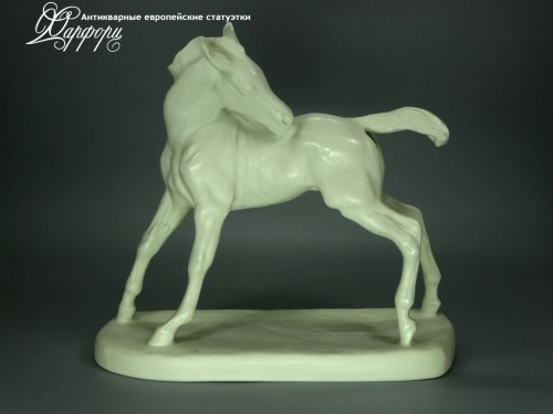 Купить фарфоровые статуэтки Rosenthal, Жеребенок, Германия