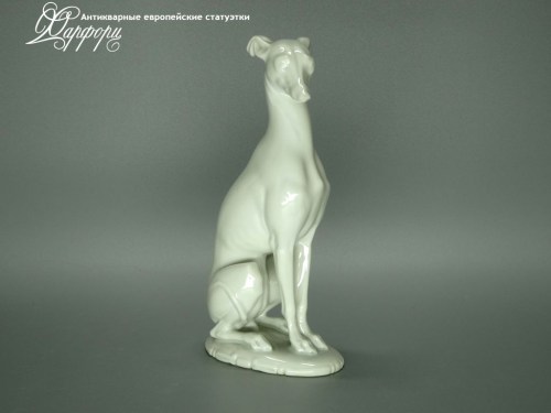 Купить фарфоровую статуэтку Rosenthal Левретка