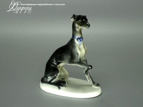 Купить фарфоровые статуэтки Rosenthal, Левретка, Германия