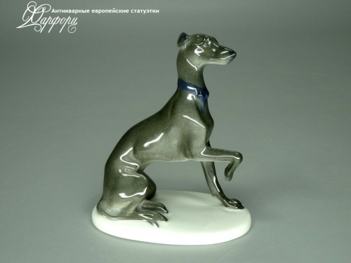 Купить фарфоровую статуэтку Rosenthal Левретка