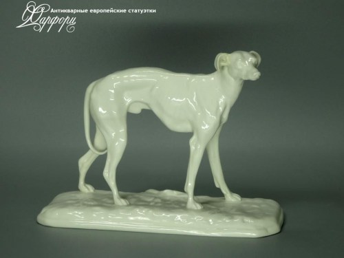 Купить фарфоровую статуэтку Nymphenburg Уиппет