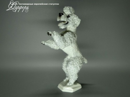 Купить фарфоровые статуэтки Rosenthal, Пудель, Германия