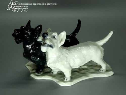 Купить фарфоровые статуэтки Rosenthal, Пара терьеров, Германия
