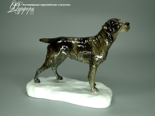 Купить фарфоровые статуэтки Rosenthal, Дратхаар, Германия