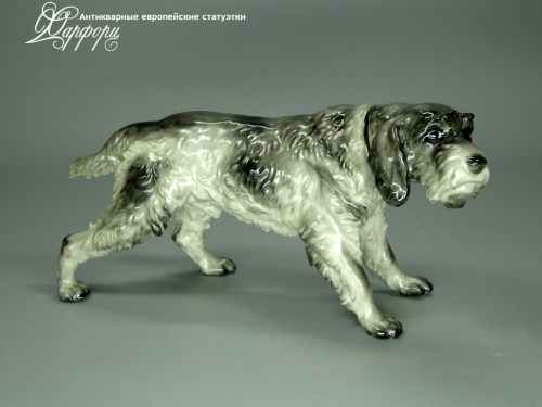 Купить фарфоровые статуэтки Rosenthal, Дратхаар, Германия