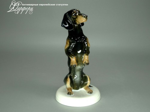 Купить фарфоровые статуэтки Rosenthal, Такса, Германия