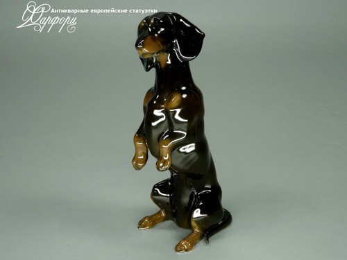 Купить фарфоровые статуэтки Rosenthal, Такса, Германия