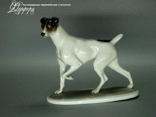 Купить фарфоровые статуэтки Rosenthal, Японский терьер, Германия